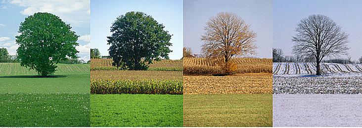 《永劫无间》迎来免费周末与冬季特惠，排位不掉分活动开启